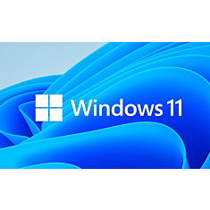 Windows 11 IoT Ent 64-bit, Entry