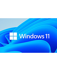 Windows 11 IoT Ent 64-bit, Entry